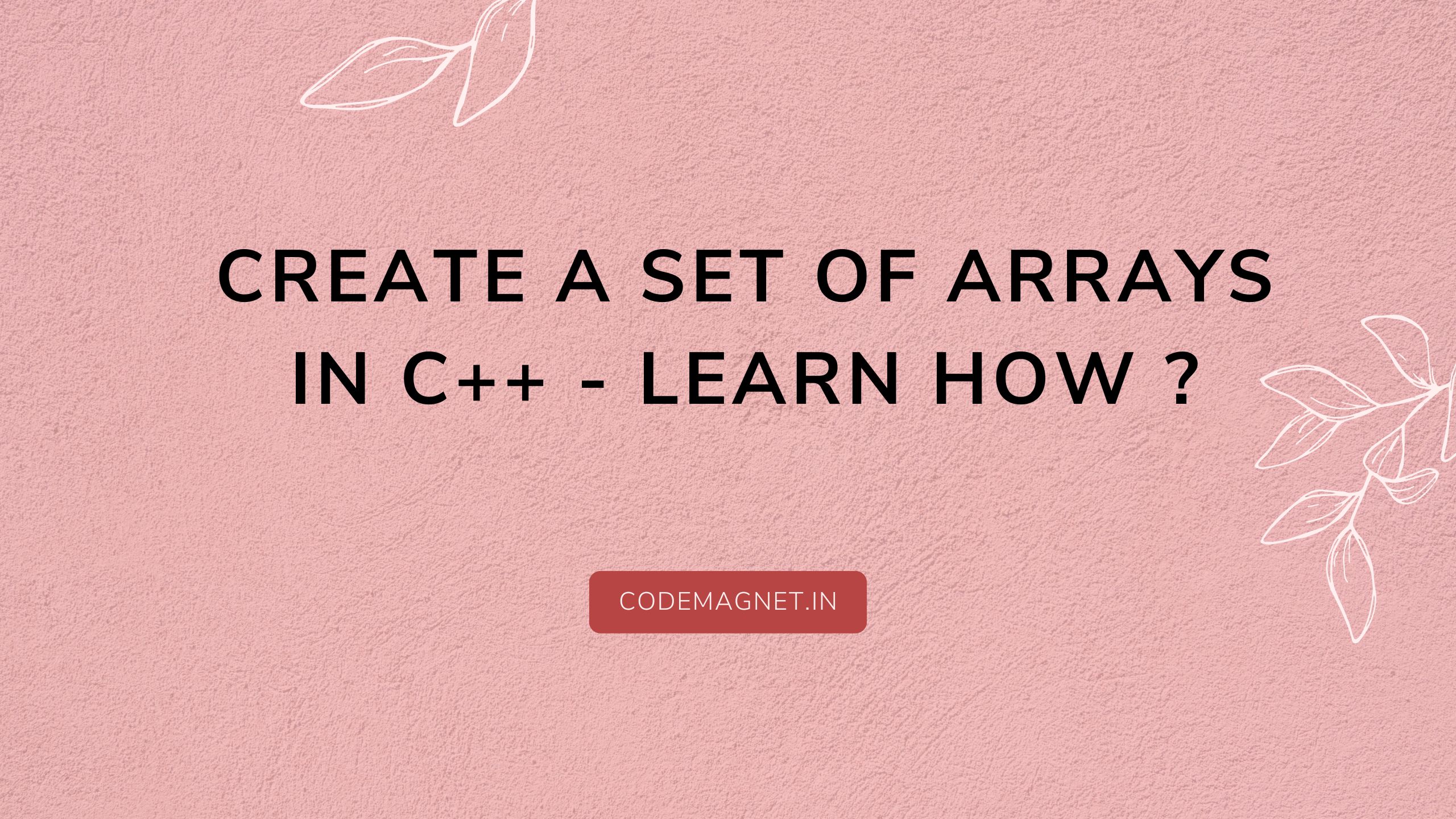 Create a Set of Arrays in C++ – Learn How